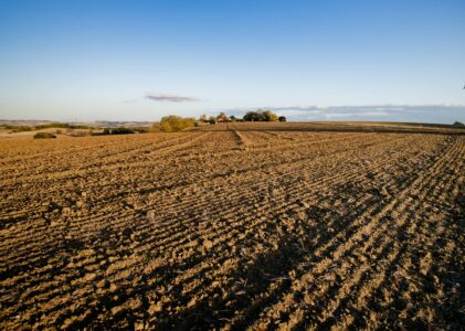 Pour un nouveau pacte avec la Terre: réflexions sur ce que pourrait être une politique agricole socialiste